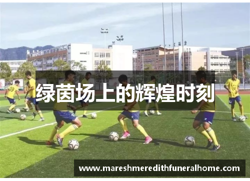 绿茵场上的辉煌时刻